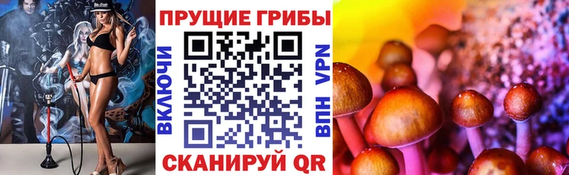 Галлюциногенные грибы MAGIC MUSHROOMS наркотики Мыски