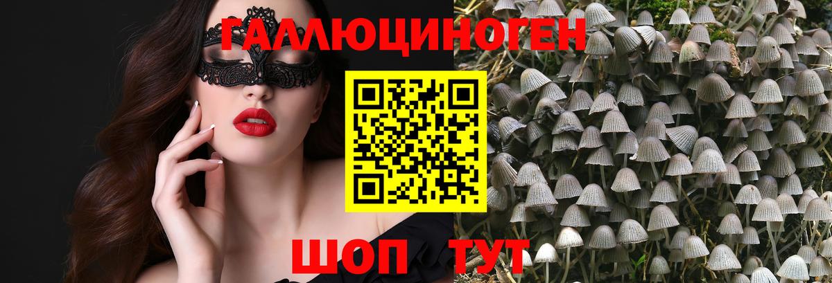 Мыски  Галлюциногенные грибы Cubensis  Вход с VPN  Псилоцибиновые грибы мицелий 
